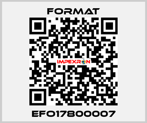 EFO17800007 Format