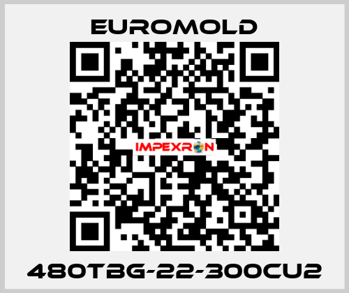 480TBG-22-300CU2 EUROMOLD