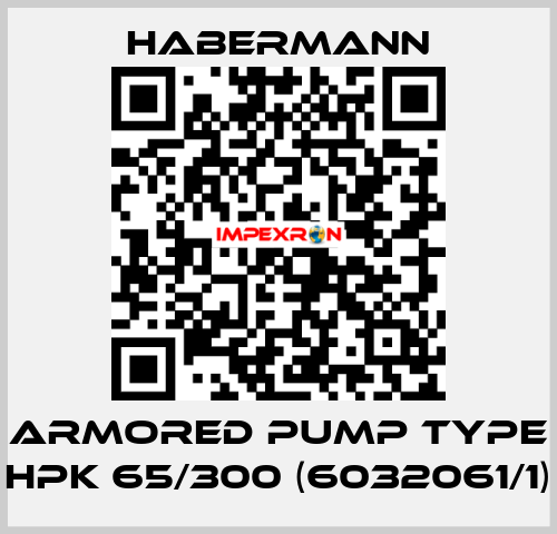 Armored pump type HPK 65/300 (6032061/1) HABERMANN