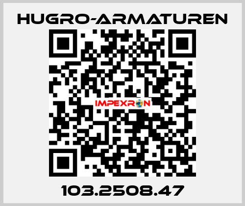 103.2508.47 Hugro-Armaturen