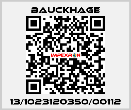 13/1023120350/00112 Bauckhage