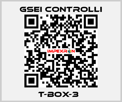 T-BOX-3Т GSEI Controlli