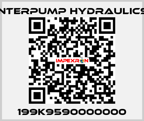 199K9590000000 Interpump hydraulics