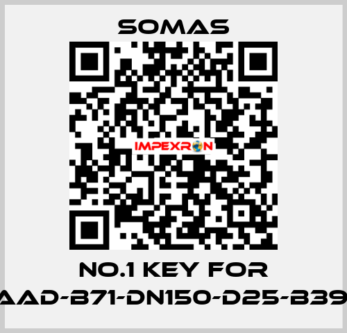 No.1 key for VSS-A5-AAD-B71-DN150-D25-B39-PN10-25 SOMAS