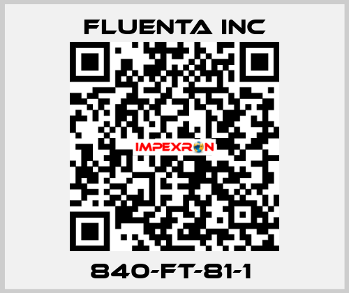 840-FT-81-1  Fluenta Inc