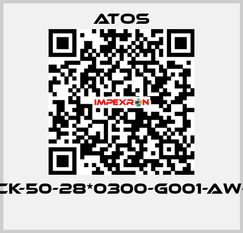 SCK-50-28*0300-G001-AW-B  Atos