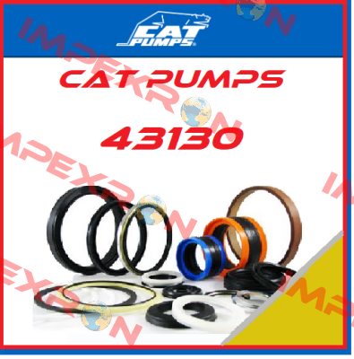 43130 Cat Pumps
