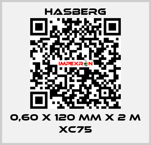 0,60 X 120 MM X 2 M XC75 Hasberg