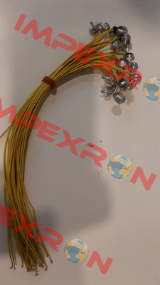 L01.130.05 Thermik