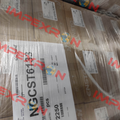NGCST6133 Ensto