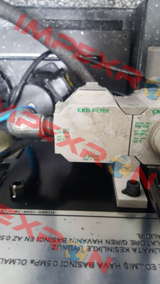F3000-10-W-FX1 CKD.