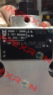seals for the valve 31524-60 1031  Hartmann-Lammle