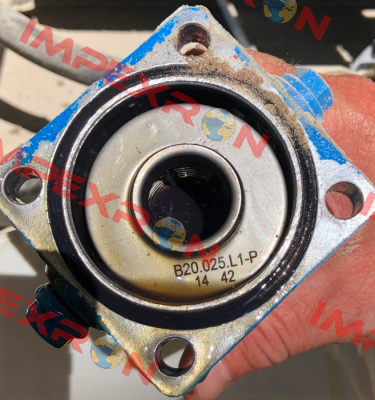 FE B20.025.L1P  Fluidtech