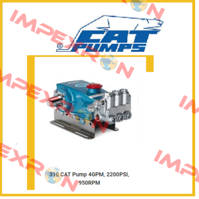 310  Cat Pumps