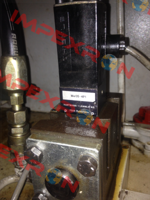WE05-4P100D24/0H  Hartmann-Lammle