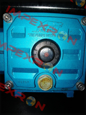 6132  Cat Pumps