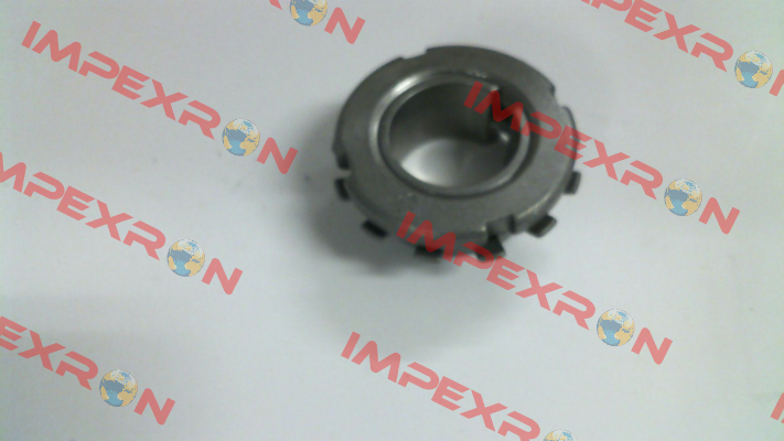 T250024X035 Tollok