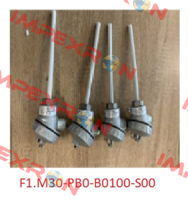 F1.M30-PB0-B0100-S00  Elsi
